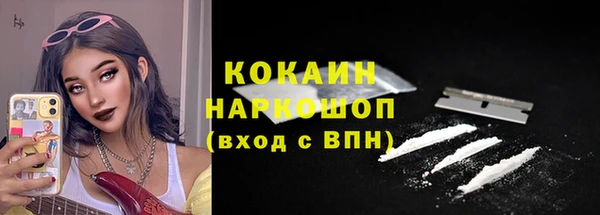 соль ск Новодвинск