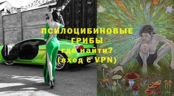 тгк Новокубанск