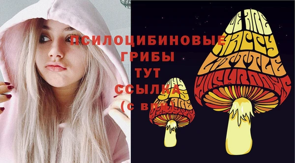 амфетамин Новозыбков
