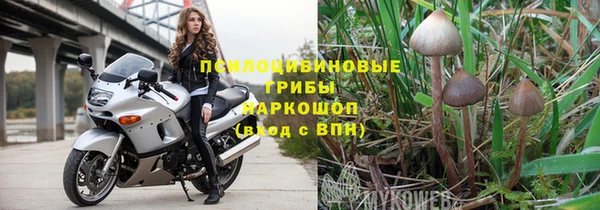 соль ск Новодвинск