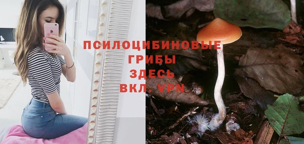 соль ск Новодвинск