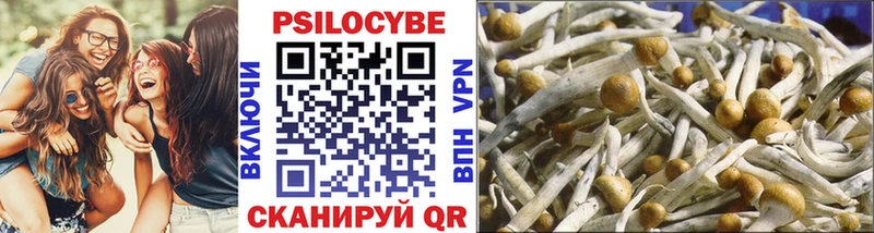 наркошоп  Пересвет  МЕГА   Галлюциногенные грибы Magic Shrooms 